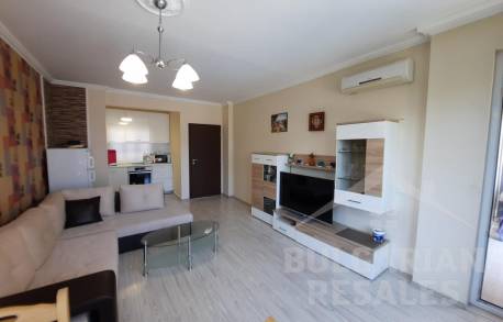 Квартира с хорошим ремонтом и мебелью в комплексе Вип Классик - Фото 8