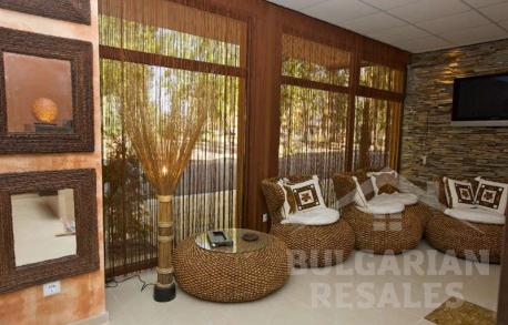 Emerald Paradise - Photo 6