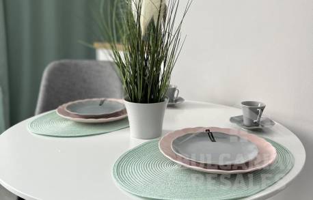 Спешите! Большая студия под сдачу в аренду с новой мебелью и ремонтом - Фото3