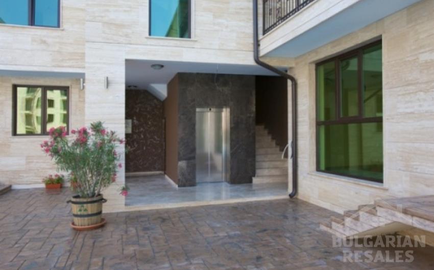 Amadeus Lux / Amadeus Lux ID: 245 - Photo 5