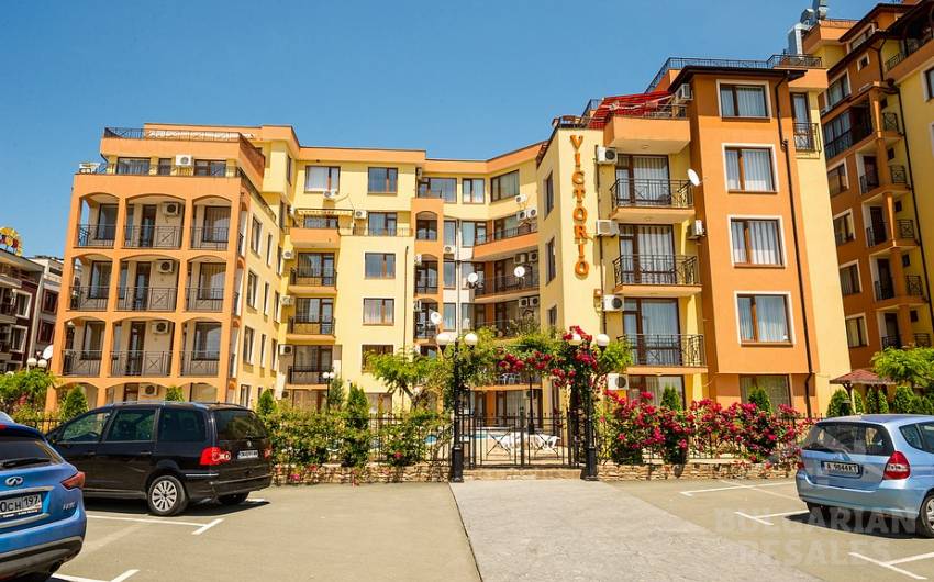 Viktorio ID: 256 - Фото4