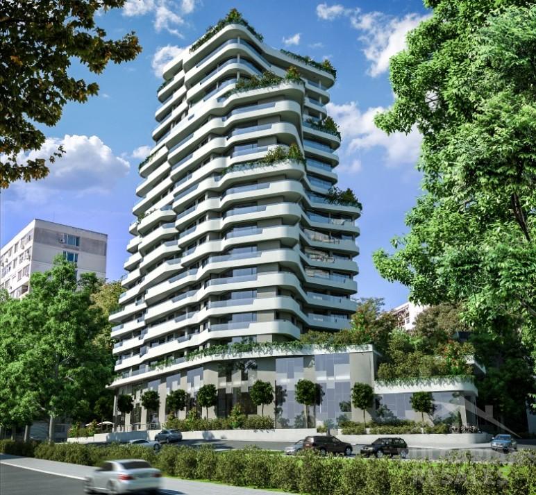 Flora Panorama - Flora Panorama ID: 937 - Фото3