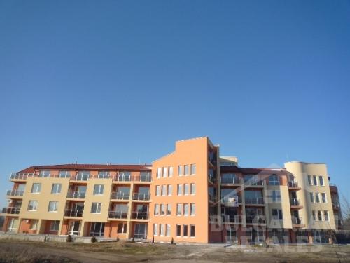 Златна рибка ID: 303 - Снимка 2