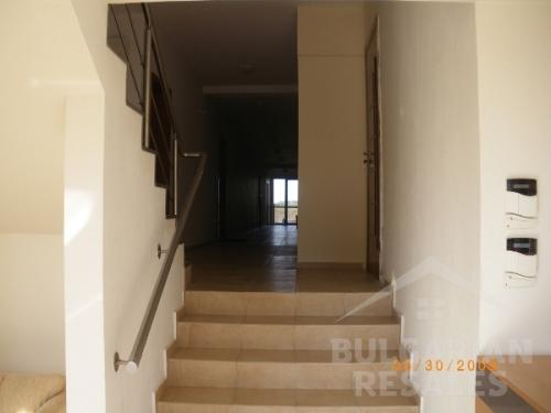 Леванте ID: 319 - Фото2