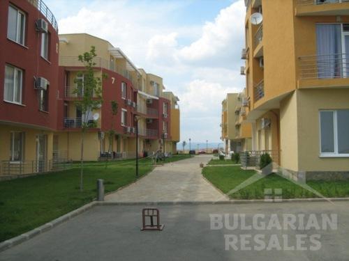 Sunny Day 5 kompleks ID: 103 - Фото4