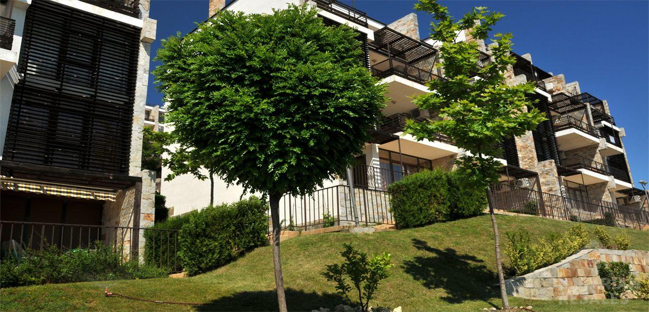 Dolche Vita ID: 535 - Фото4