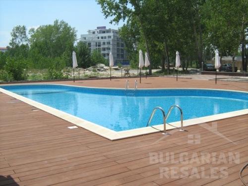 Stela Polaris 2 ID: 61 - Photo 3