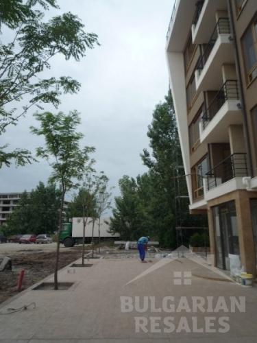 Tarantula ID: 83 - Фото 3