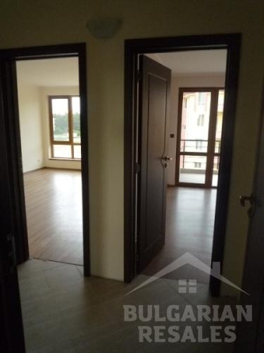 Tarantula ID: 83 - Фото 4