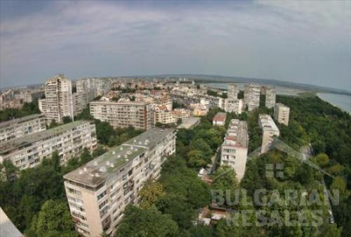 Panoráma morskej záhrady ID: 274 - Фото7