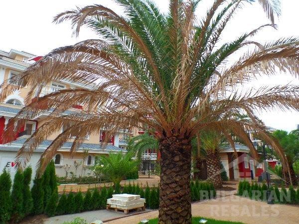 Messembria Resort ID: 562 - Photo 15