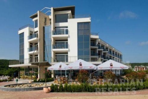 South Pearl ID: 65 - Фото4