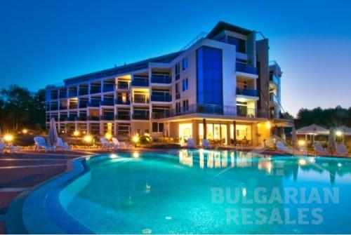 South Pearl ID: 65 - Фото5