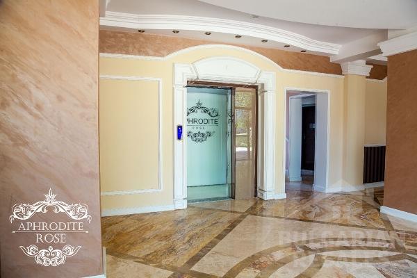 Aphrodite Rose ID: 587 - Photo 18