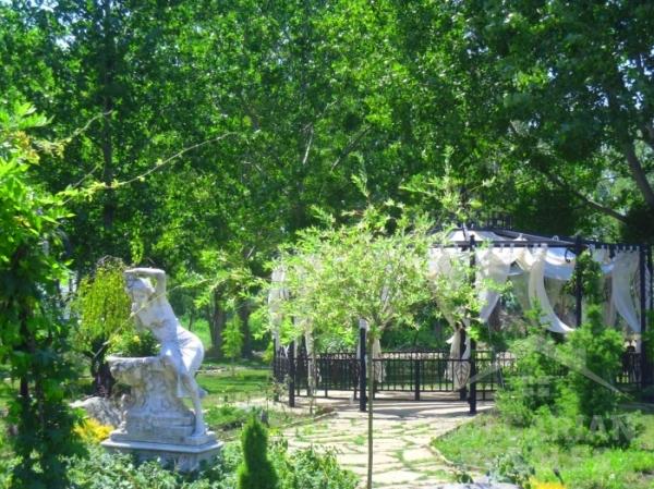 Aphrodite Rose ID: 587 - Photo 21