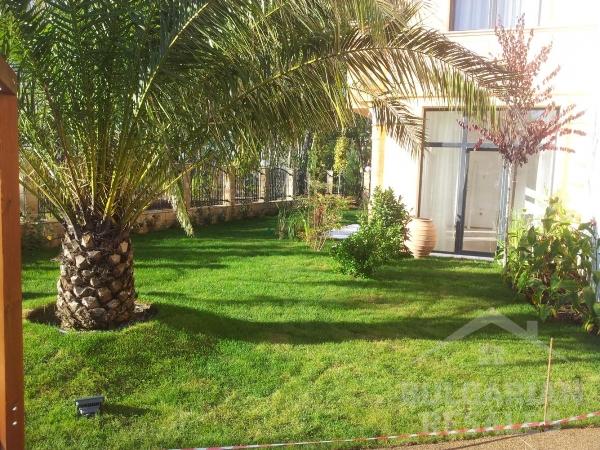 Aphrodite Rose ID: 587 - Photo 22