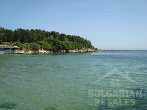 Rich ID: 68 - Фото4