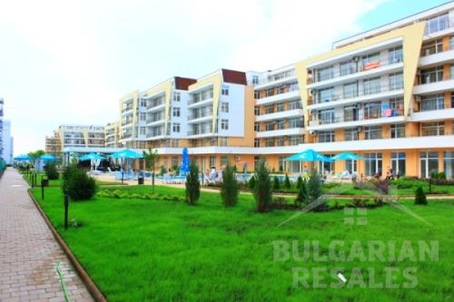 Grand Kamelia ID: 138 - Снимка 9