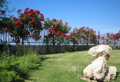 Privilege Fort Beach / Привилидж Форт Бич ID: 179 - Фото 3