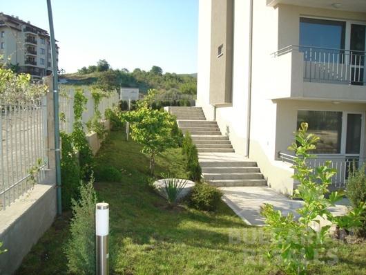 Motyl ID: 233 - Фото5