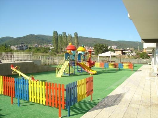 Butterfly ID: 233 - Photo 6