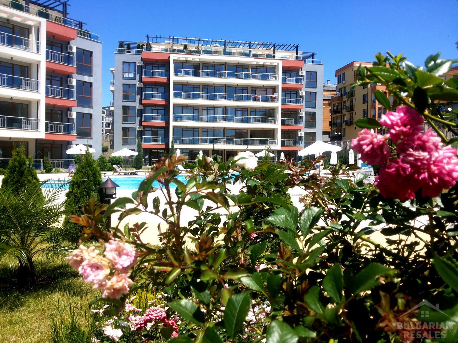 Sun Wave ID: 385 - Photo 8