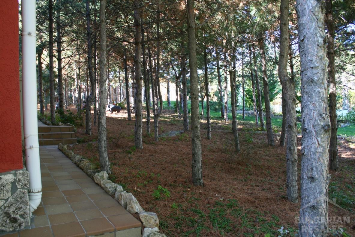 Villa St Vlas ID: 920 - Photo 4