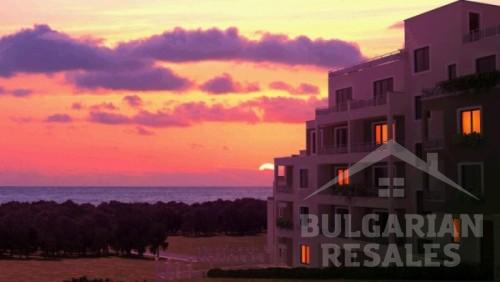 Ogrody Kiwi / Kiwi Gardens ID: 515 - Фото12