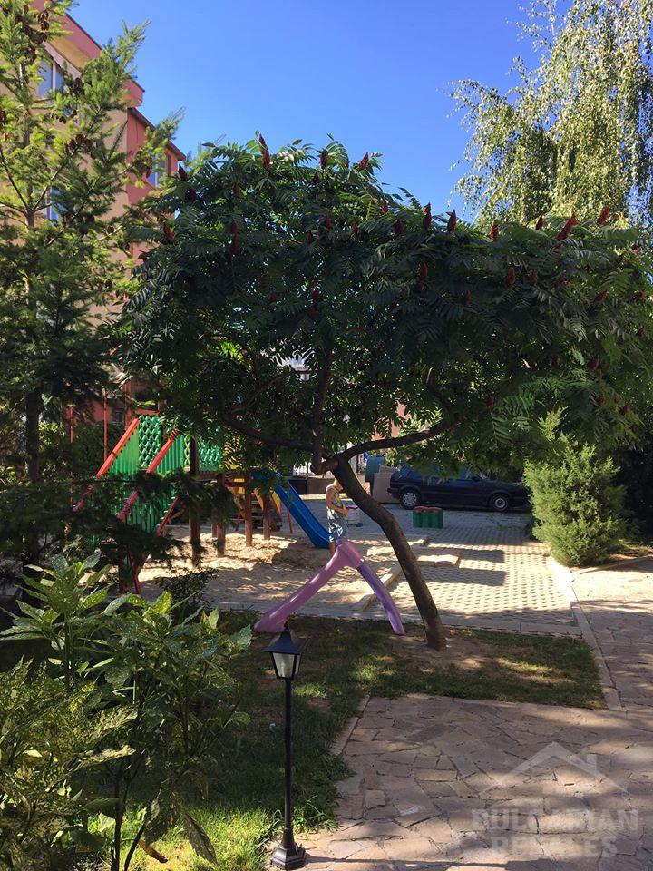 Mieszkanie w kompleksie Rose Village ID: 1109 - Фото4