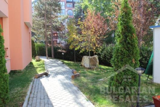 Sunflower ID: 527 - Photo 5