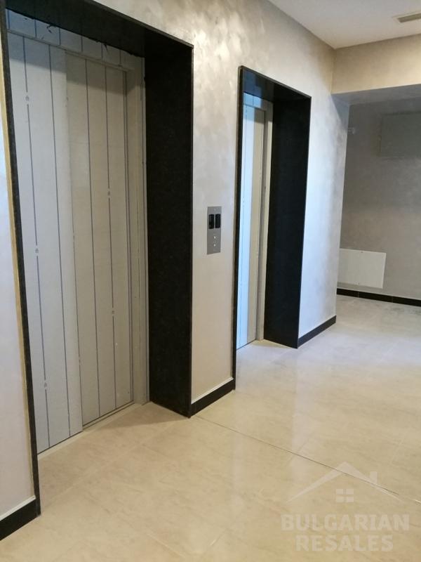 Flora Panorama - Flora Panorama ID: 937 - Фото8