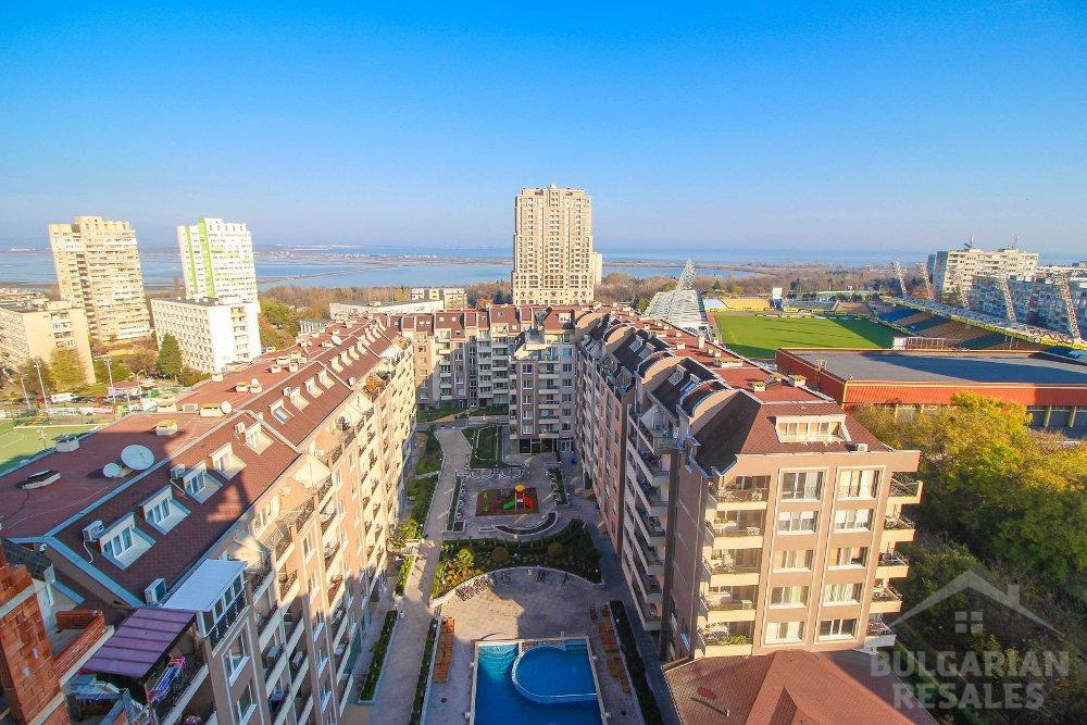 Perla 8 / Perla 8 ID: 868 - Фото2