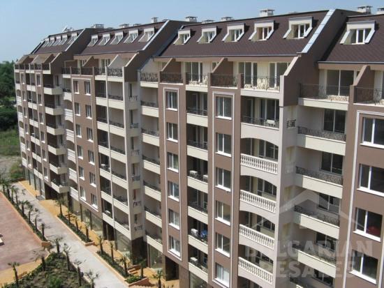 Perla ID: 173 - Фото6