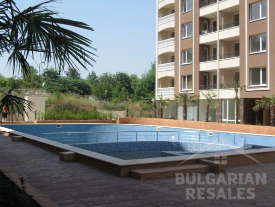 Perla ID: 173 - Фото10