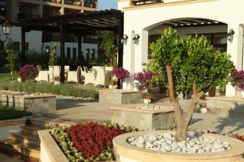 Oazis Beach Club ID: 377 - Фото3