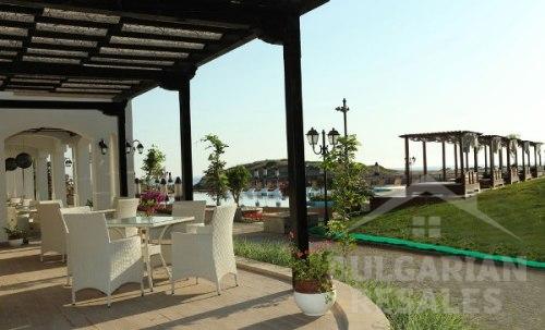 Oazis Beach Club ID: 377 - Фото5