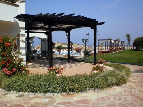 Oazis Beach Club ID: 377 - Фото11