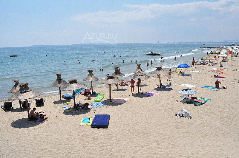 Dedina Vega ID: 493 - Фото4