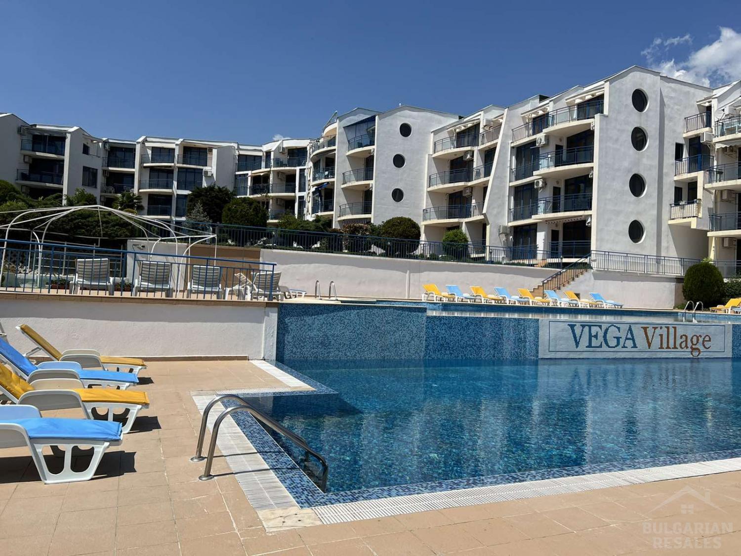 Dedina Vega ID: 493 - Фото3