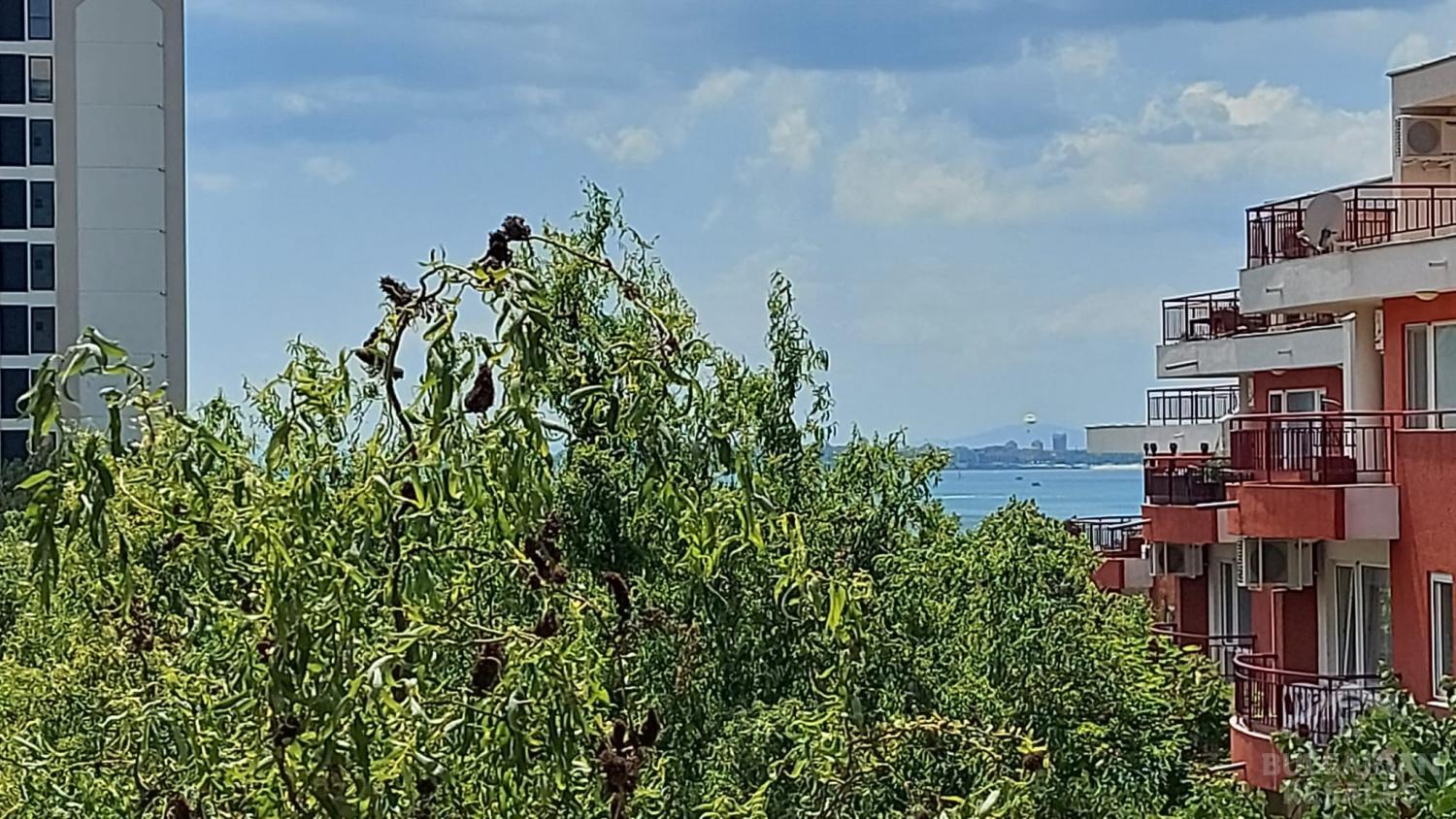 Голямо студио за четирима в комплекс Green Fort ID: 2798 - Снимка 5