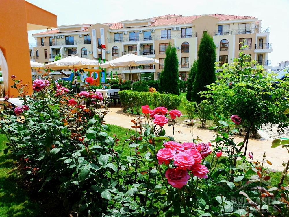 Great studio in the Paradise Dreams complex ID: 2709 - Photo 2