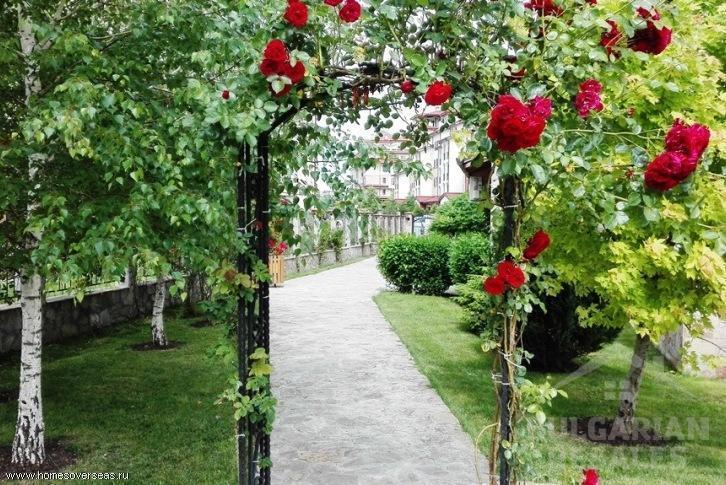 Акция! Апартамент с новой мебелью в подарок ID: 2444 - Фото 15