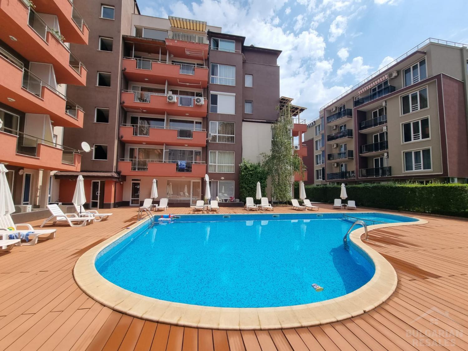 Stela Polaris 2 ID: 61 - Photo 5