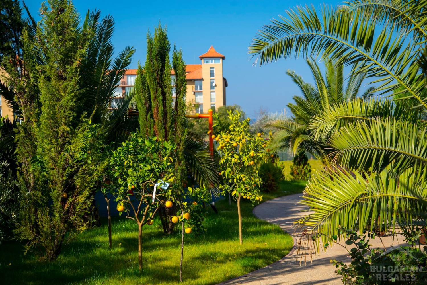 Купить апартамент на Солнечном берегу, комплекс 