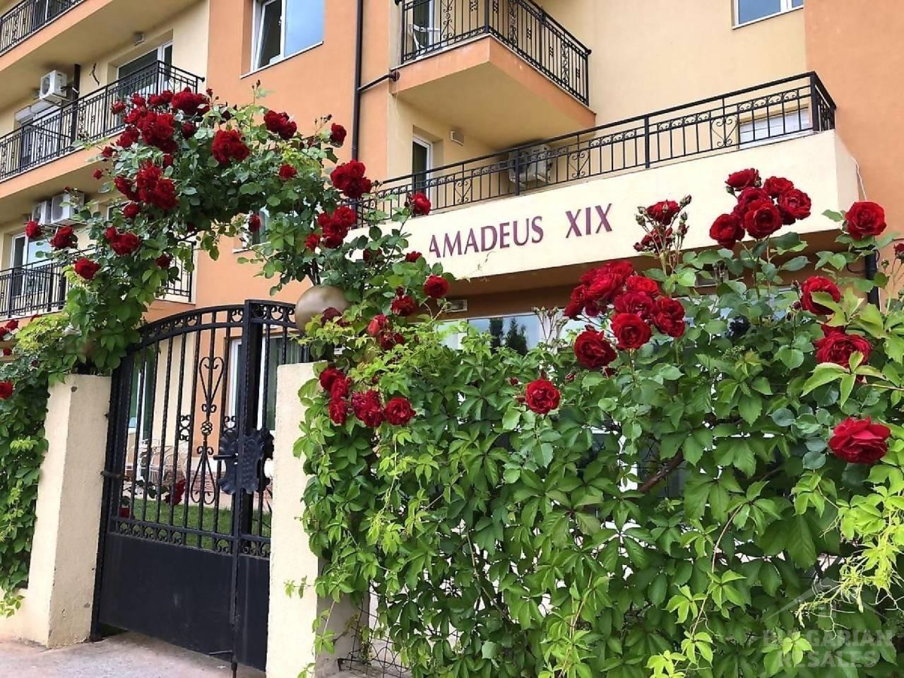 Евтин студио апартамент в Слънчев бряг, Амадеус 19 ID: 5815 - Снимка 1