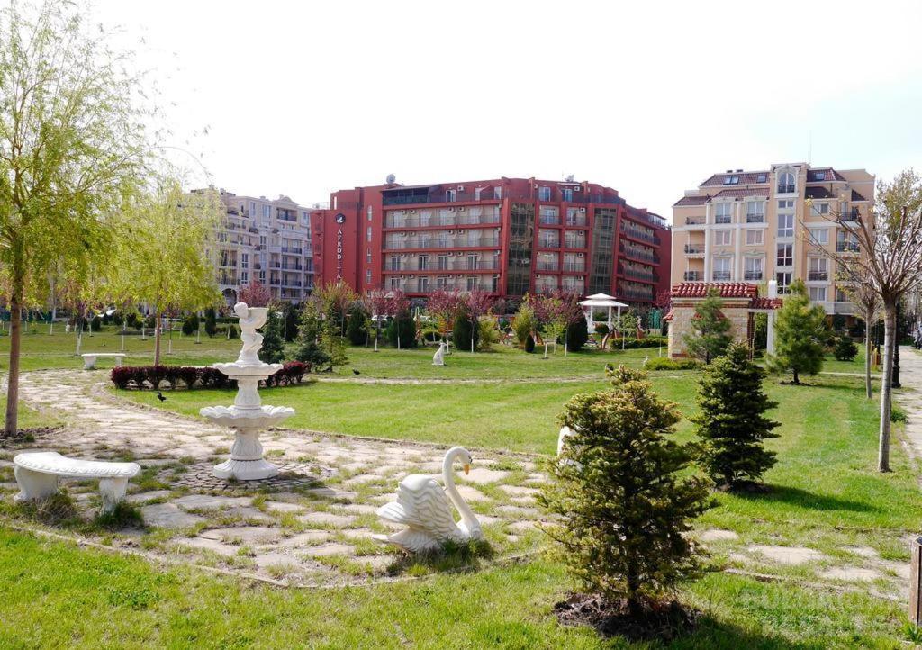 Aphrodite II  ID: 58 - Фото3