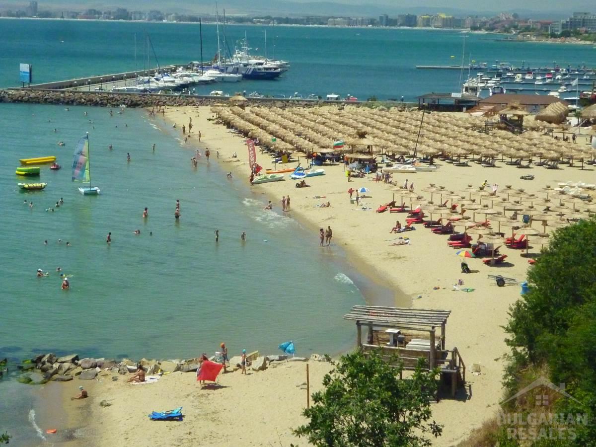 Dedina Vega ID: 493 - Фото5