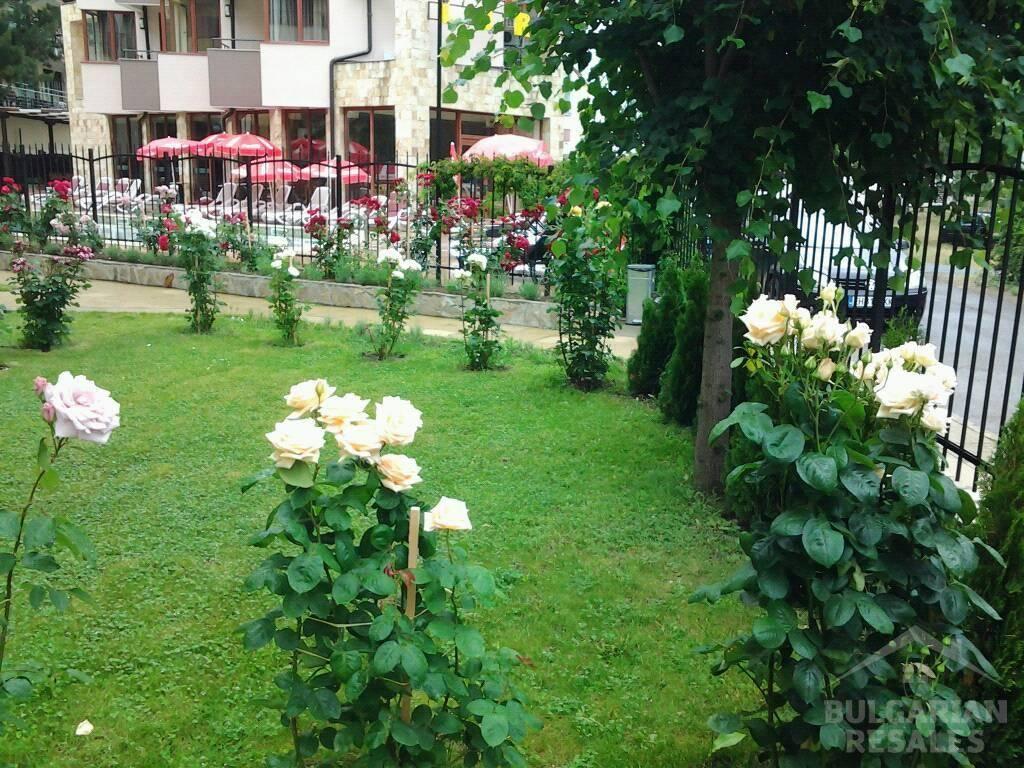  Diamond Bay ID: 2459 - Фото3