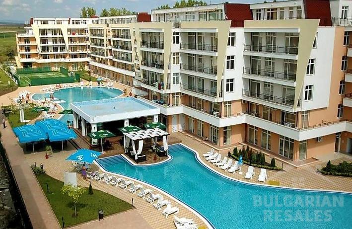 Grand Kamelia ID: 138 - Снимка 1