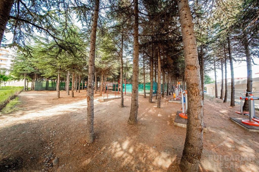 Svetlý apartmán po renovácii pri mori v Sveti Vlas ID: 5256 - Фото17